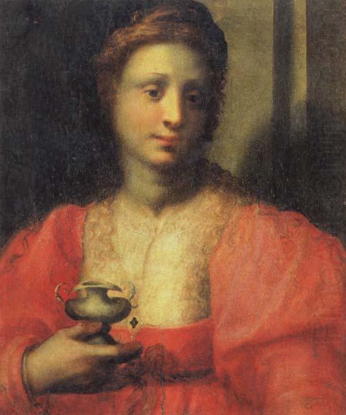 PULIGO, Domenico Portrait of a Woman Dressed as Mary Magdalen china oil painting image